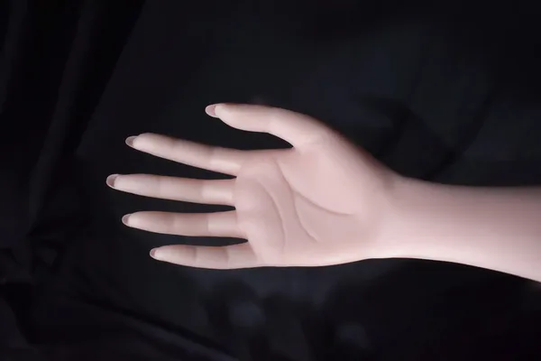 Elsa Babe Suzuki Chihiro
