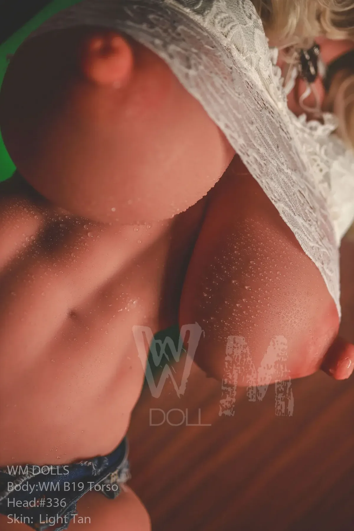 WM B19 Torso - Kitty